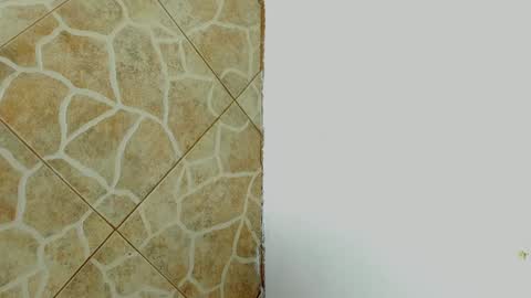         online show from 02.08.25