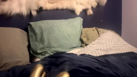 damontsi online show from 02.24.26