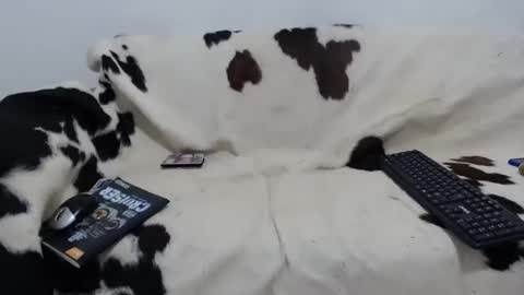 dan_jonson15 online show from 11.27.25