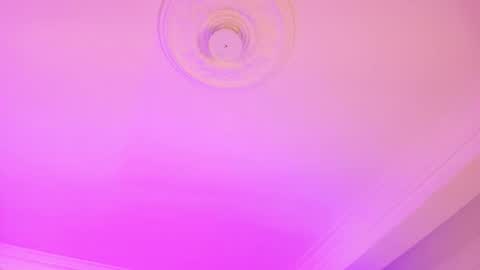 Dana online show from 11.28.25