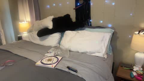 Snapshot of danidragon69 chatting on 02.13.25 Dani Dragon online show from 02.13.25