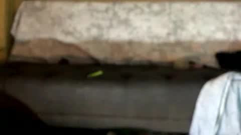 Snapshot of dankshepp chatting on 10.12.25 dandeb online show from 10.12.25