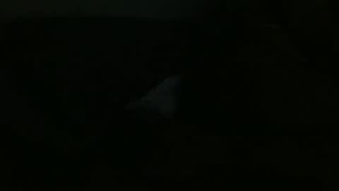 Dee online show from 12.24.24