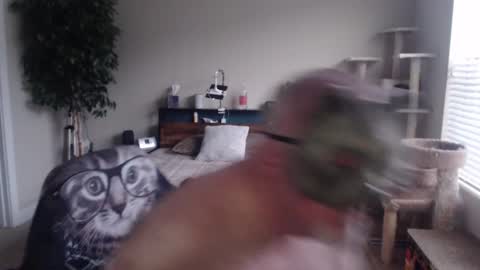 Danny bear online show from 12.22.24