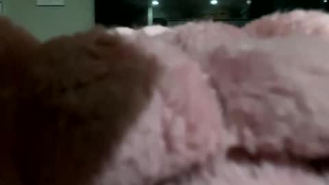 dannyboy621 online show from 11.10.25