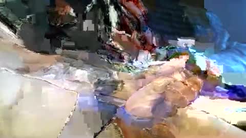 dannytabb1 online show from 11.11.25