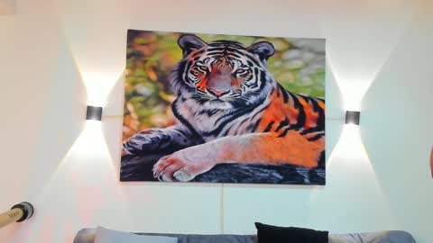 DANTE online show from 12.28.24