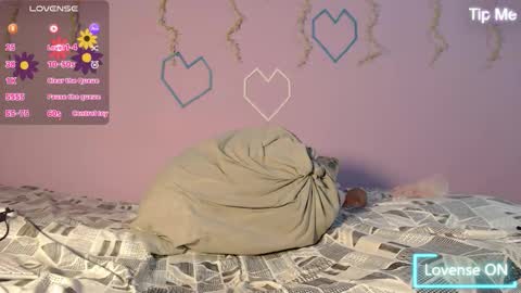 dante_bear online show from 02.13.26