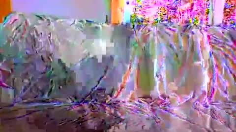 Snapshot of danwick69 chatting on 09.17.25 danwick69 online show from 09.17.25