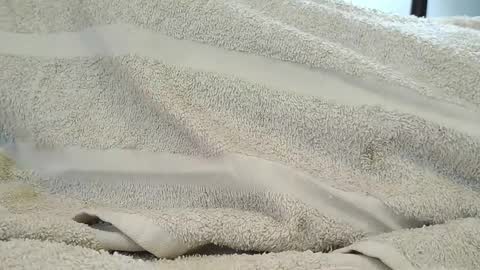 Snapshot of dapppper chatting on 09.18.25 dapppper online show from 09.18.25