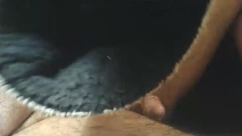 dapppper online show from 03.11.26