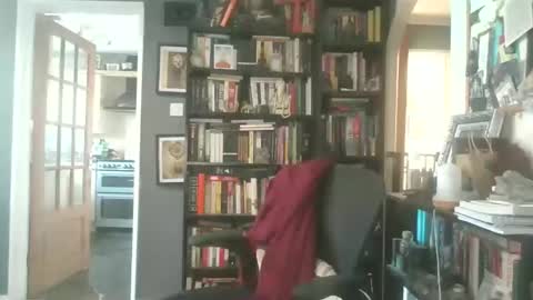 Darcy online show from 03.26.26