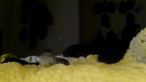 Betty and Robert Play time online show from 01.13.26