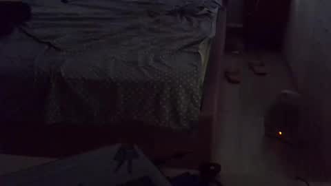 darishechka online show from 11.15.25