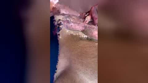 darklight69s25 online show from 04.12.26