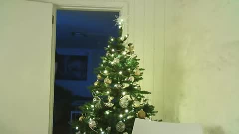 Snapshot of dartanjanas chatting on 12.25.24 Dario online show from 12.25.24