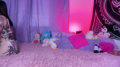 daryimiau online show from 12.12.24