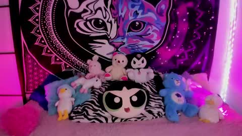 daryimiau online show from 06.04.26