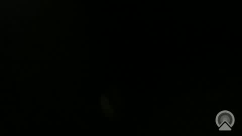 daveeveline online show from 11.11.25