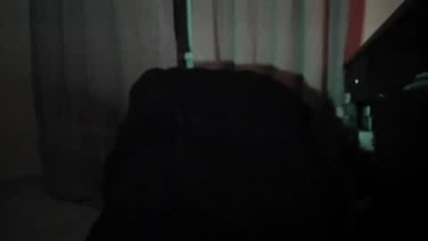 dave or nate online show from 11.12.25