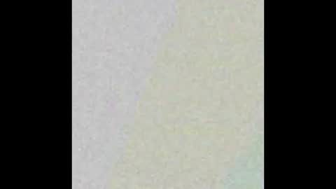 Snapshot of david_blue1 chatting on 02.02.26 David online show from 02.02.26