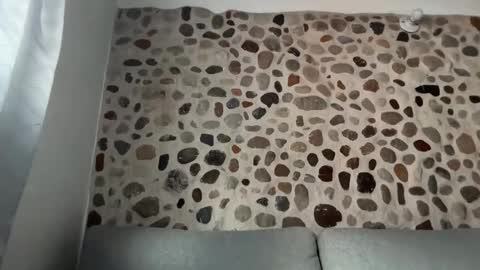 David online show from 11.26.25