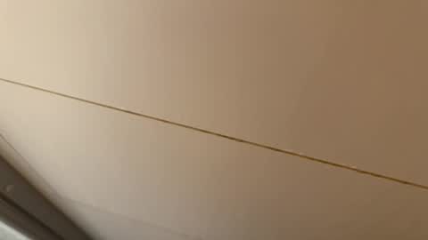 Hornybear online show from 01.15.26