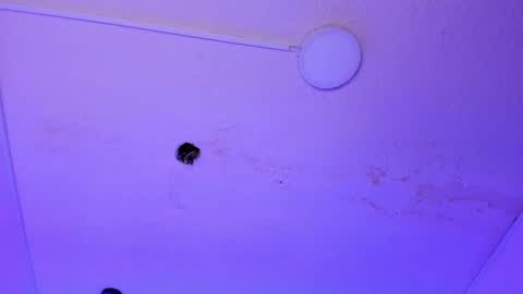 dayana_harlow2 online show from 01.15.25