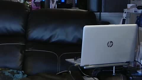 Snapshot of ddboobman chatting on 02.06.25 want girl to play with me online show from 02.06.25