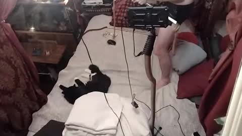 nik and cherry online show from 01.04.25