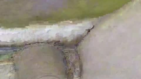 Dive Deep online show from 11.02.25