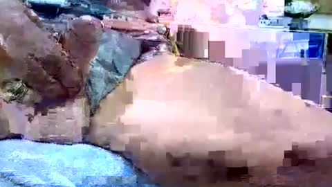 Snapshot of deepdiver3366 chatting on 01.19.26 Dive Deep online show from 01.19.26