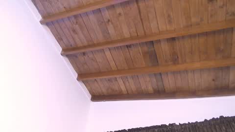  DEIVY  online show from 12.10.24