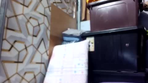 Snapshot of deliciousgirl975840 chatting on 06.01.26 deliciousgirl975840 online show from 06.01.26