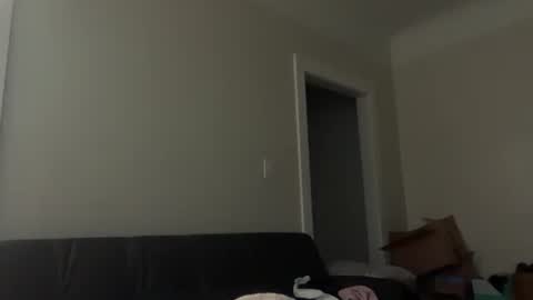 delightfuldark online show from 12.16.25