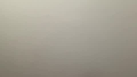 Delivery      online show from 01.04.25