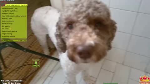 Yana online show from 04.14.26