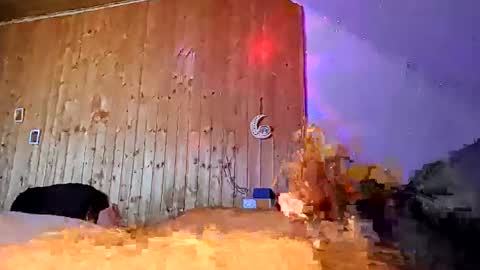 den2807 online show from 03.18.26