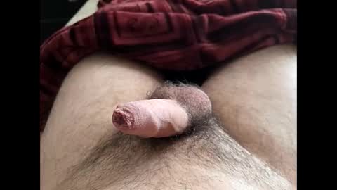 LilRoach online show from 02.10.26