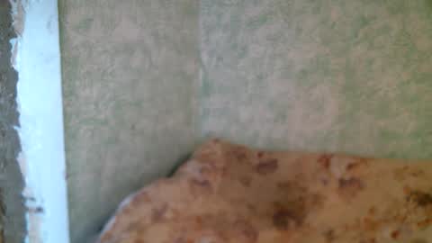 DennisXCarol online show from 04.23.26