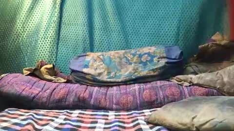 desi_boy799417 online show from 03.23.26