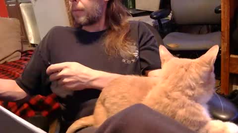 desolation2012 online show from 11.01.25