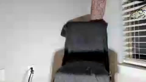 Dextercollins online show from 06.27.26