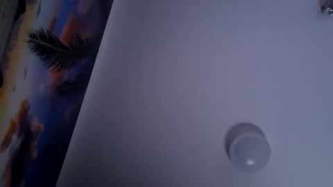 Snapshot of dgesika254182 chatting on 01.28.25 dgesika254182 online show from 01.28.25