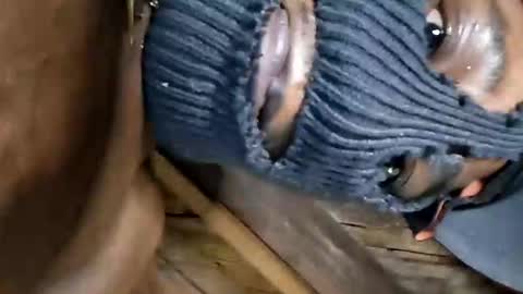 Snapshot of dhbbc454336 chatting on 10.02.25 Marcus D-von Steel as the raunchy ass sniffer thrill me with your online show from 10.02.25