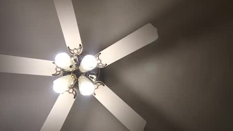 diamonde_steele online show from 12.12.24