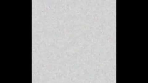 diana_lambert online show from 12.23.24