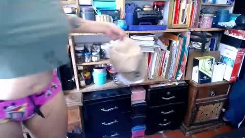 diana_rogu online show from 11.27.25