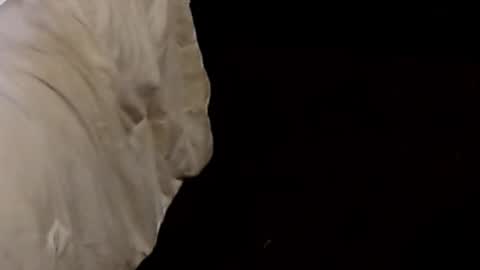 Sparkx online show from 09.09.25