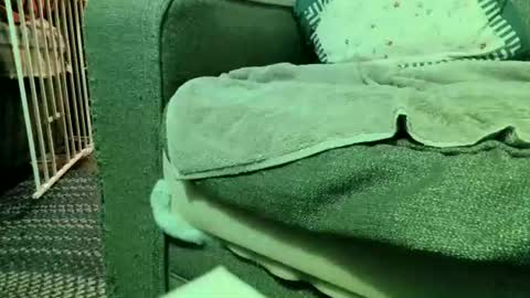 dickwack4u online show from 08.06.26
